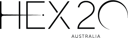Hex20 Logo