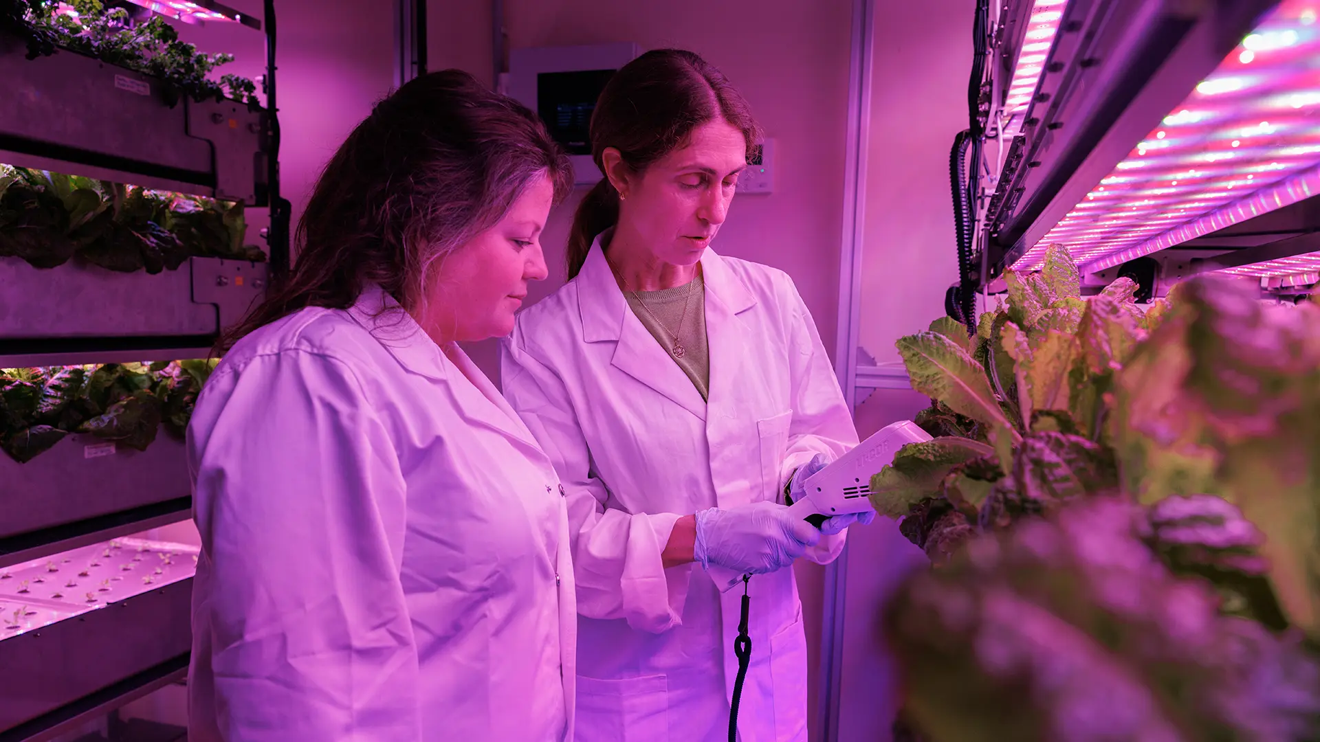 Plants for Space Chief Investigator, Jenny Mortimer, and Laboratory Manager, Wendy Sullivan